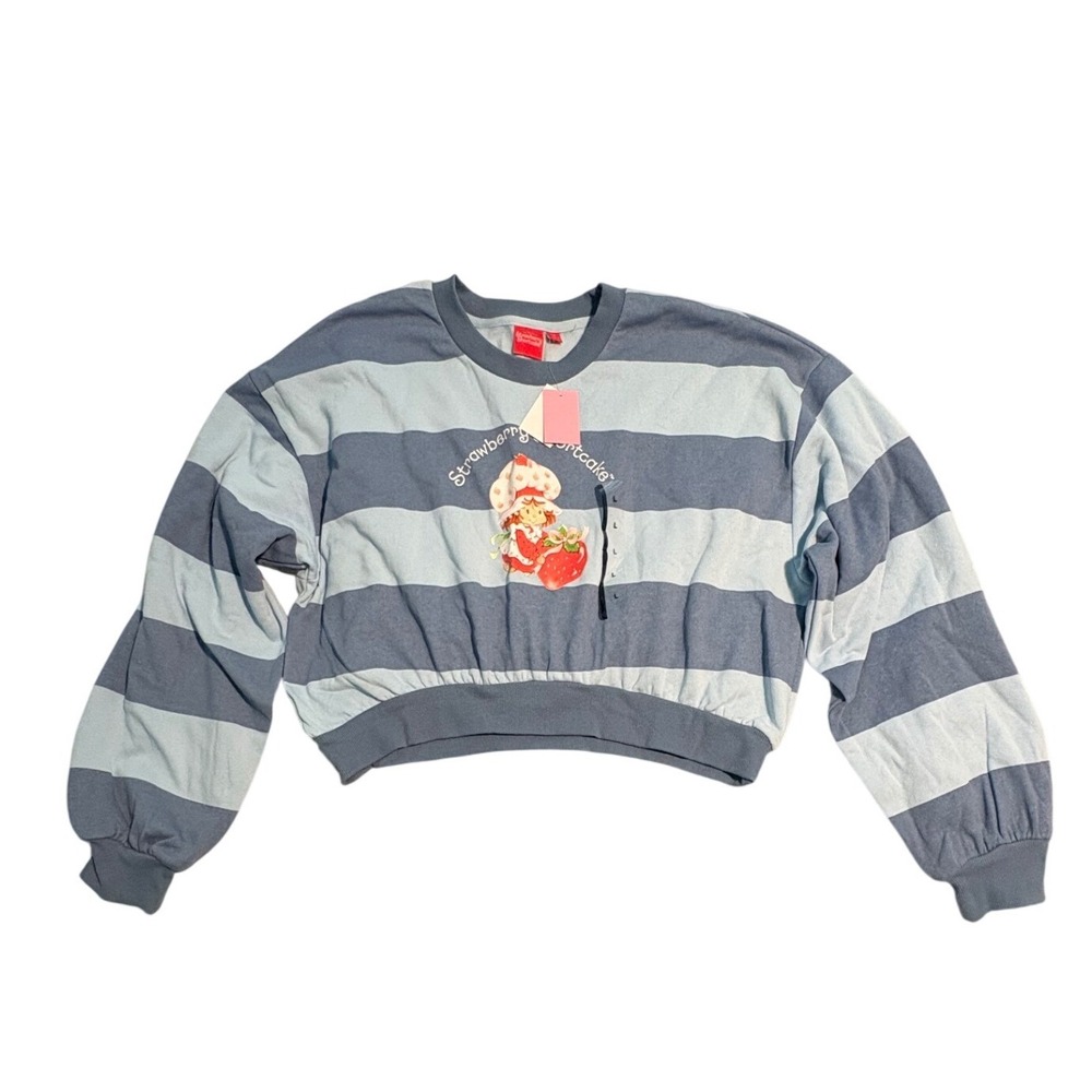 Strawberry Shortcake Blue Striped Cropped Sweatshirt NWT Large Oversized
